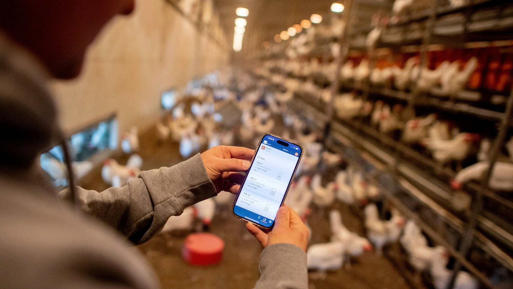 Dirk Siemers, Landwirt und Betreiber einer Legehennenhaltung im Landkreis Diepholz, kontrolliert auf seinem Smartphone die Temperatur und den Lüftungsbedarf eines Stalls.
