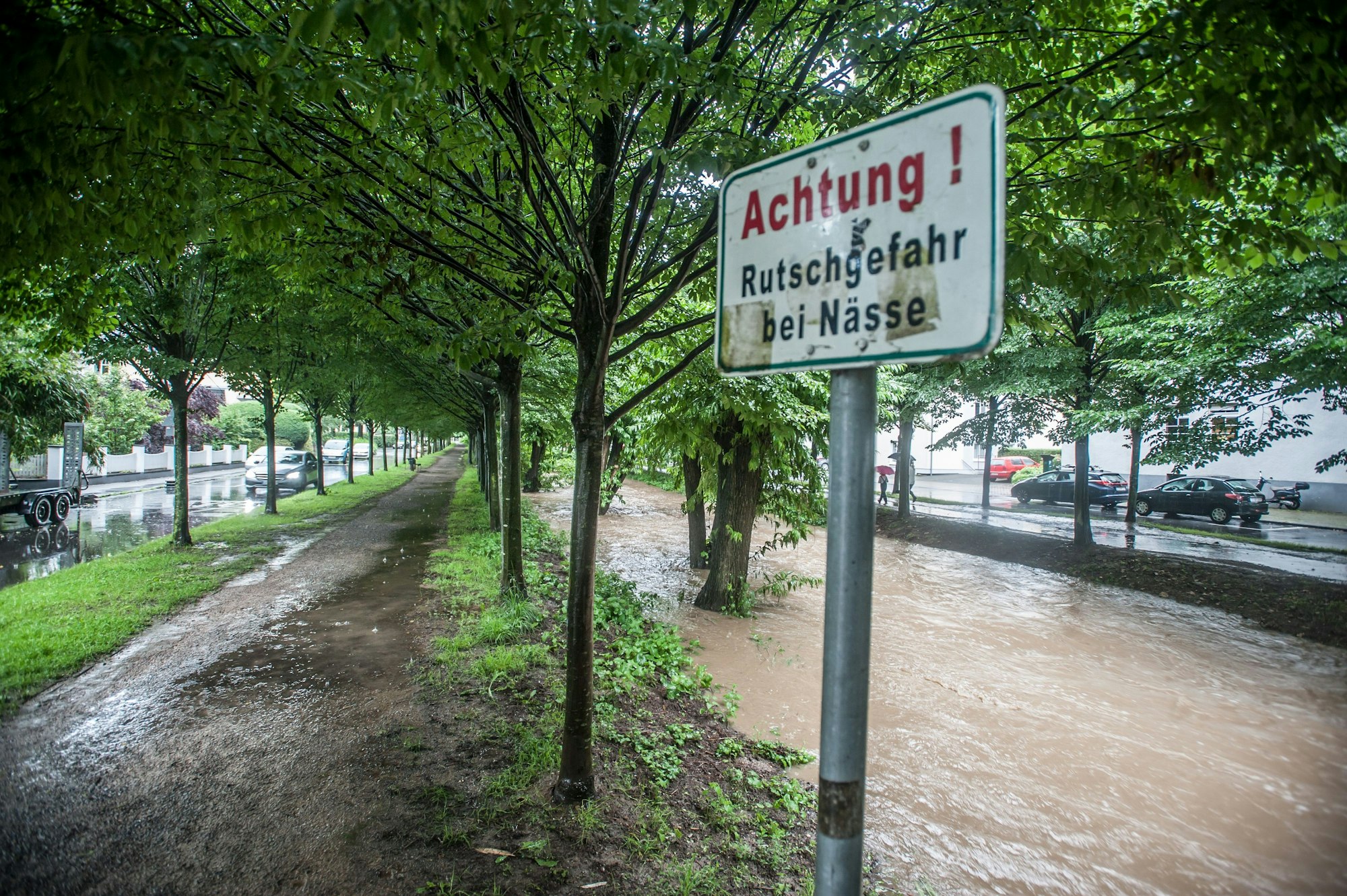 Wiembach am Nachmittag, 14.7.21 . alleebäume Wiembachallee Foto: Ralf Krieger