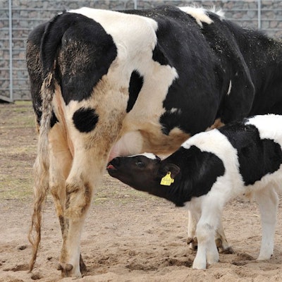 Kunibert kam schon Ende Oktober vergangenen Jahres zur Welt.