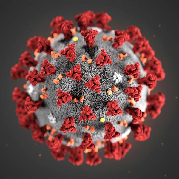 HANDOUT - Diese von den Centers for Disease Control and Prevention (CDC) im Januar 2020 zur Verfügung gestellte Illustration zeigt das Coronavirus (2019-nCoV). Das Coronavirus hat seinen Namen von den Stacheln, manche nannten es auch China-Virus.