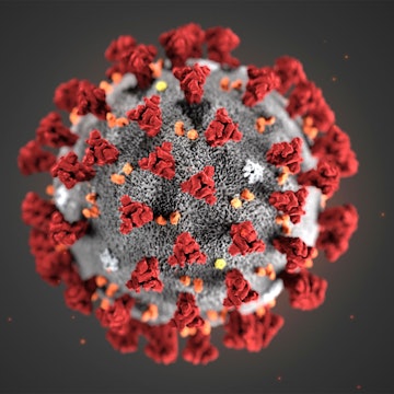 HANDOUT - Diese von den Centers for Disease Control and Prevention (CDC) im Januar 2020 zur Verfügung gestellte Illustration zeigt das Coronavirus (2019-nCoV). Das Coronavirus hat seinen Namen von den Stacheln, manche nannten es auch China-Virus.
