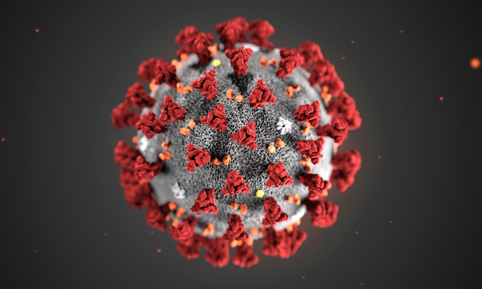 HANDOUT - Diese von den Centers for Disease Control and Prevention (CDC) im Januar 2020 zur Verfügung gestellte Illustration zeigt das Coronavirus (2019-nCoV). Das Coronavirus hat seinen Namen von den Stacheln, manche nannten es auch China-Virus.
