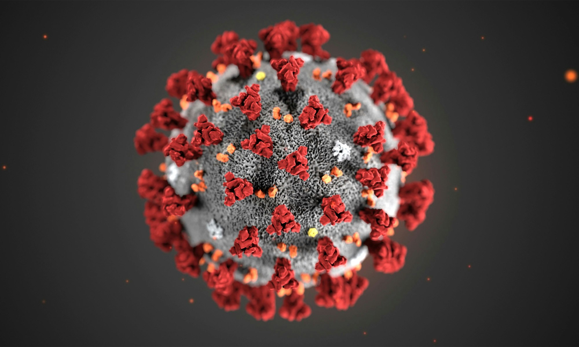 HANDOUT - Diese von den Centers for Disease Control and Prevention (CDC) im Januar 2020 zur Verfügung gestellte Illustration zeigt das Coronavirus (2019-nCoV). Das Coronavirus hat seinen Namen von den Stacheln, manche nannten es auch China-Virus.