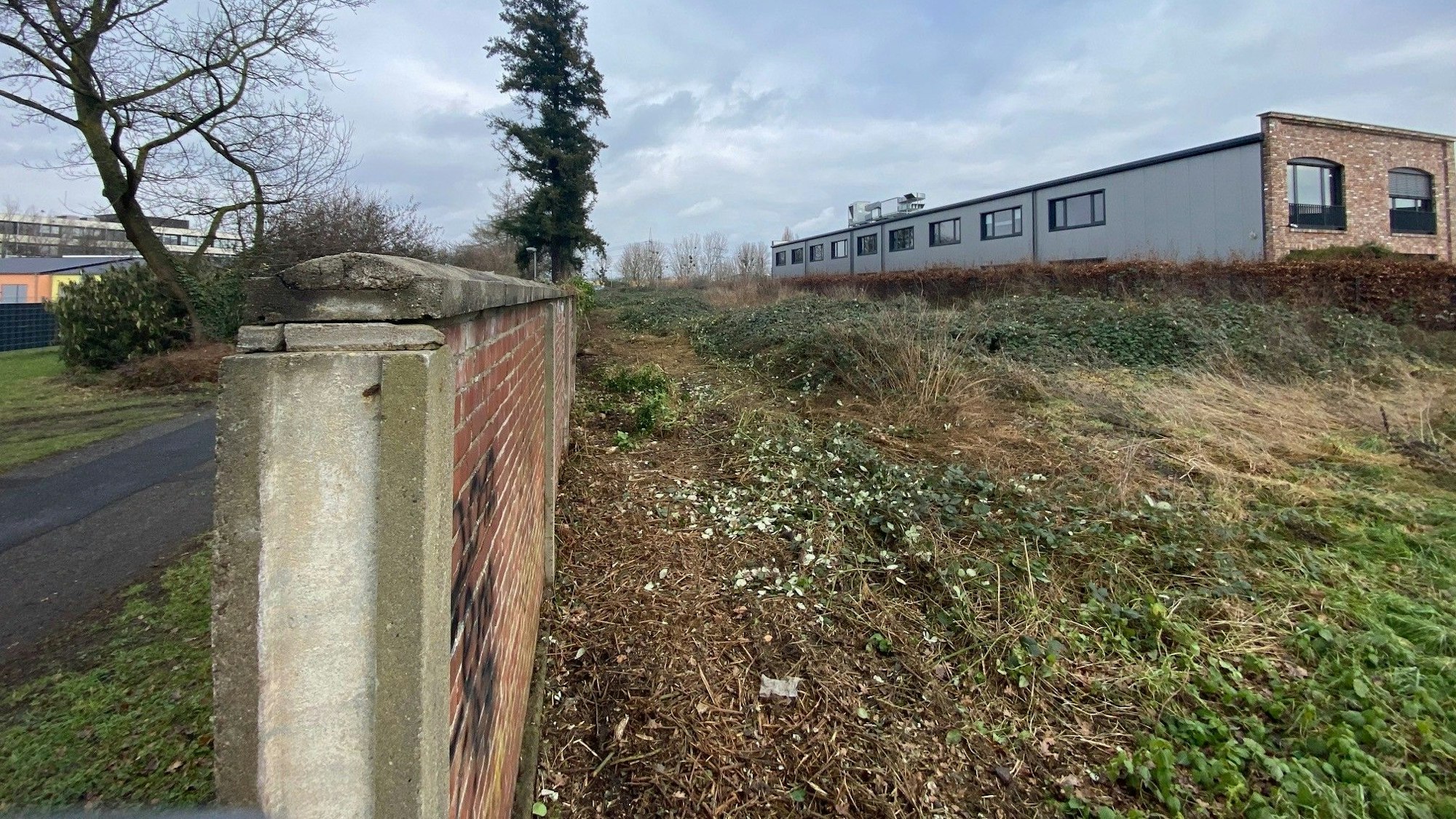 Zu sehen ist das Areal des künftigen Bürgerparks.