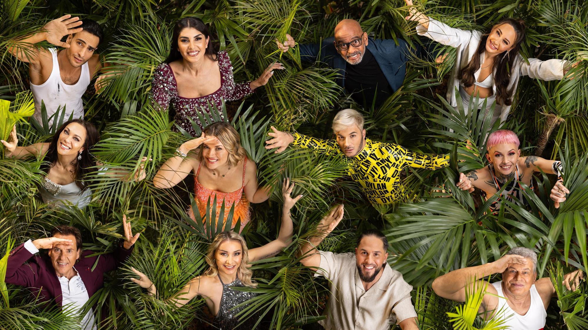 Timur Ülker, Yeliz Koc, Pierre Sanoussi-Bliss, Alessia Herren, Lilly Becker, Nina Bott, Sam Dylan, Edith Stehfest, Jörg Dahlmann, Anna-Carina Woitschack, Maurice Dziwak und Jürgen Hingsen.