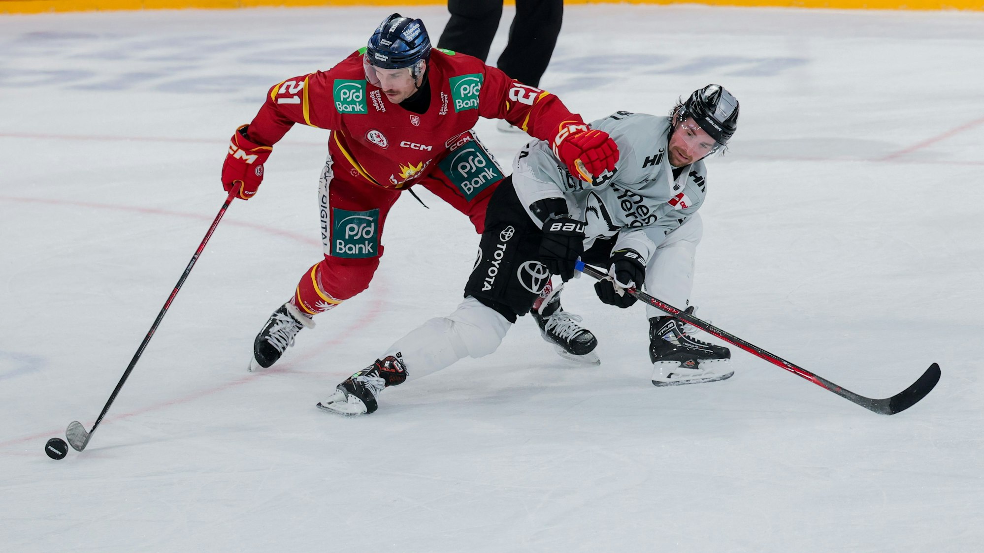 Düsseldorfs Brendan O·Donnell (l) und Kölns Adam Almquist versuchen an den Puck zu kommen.