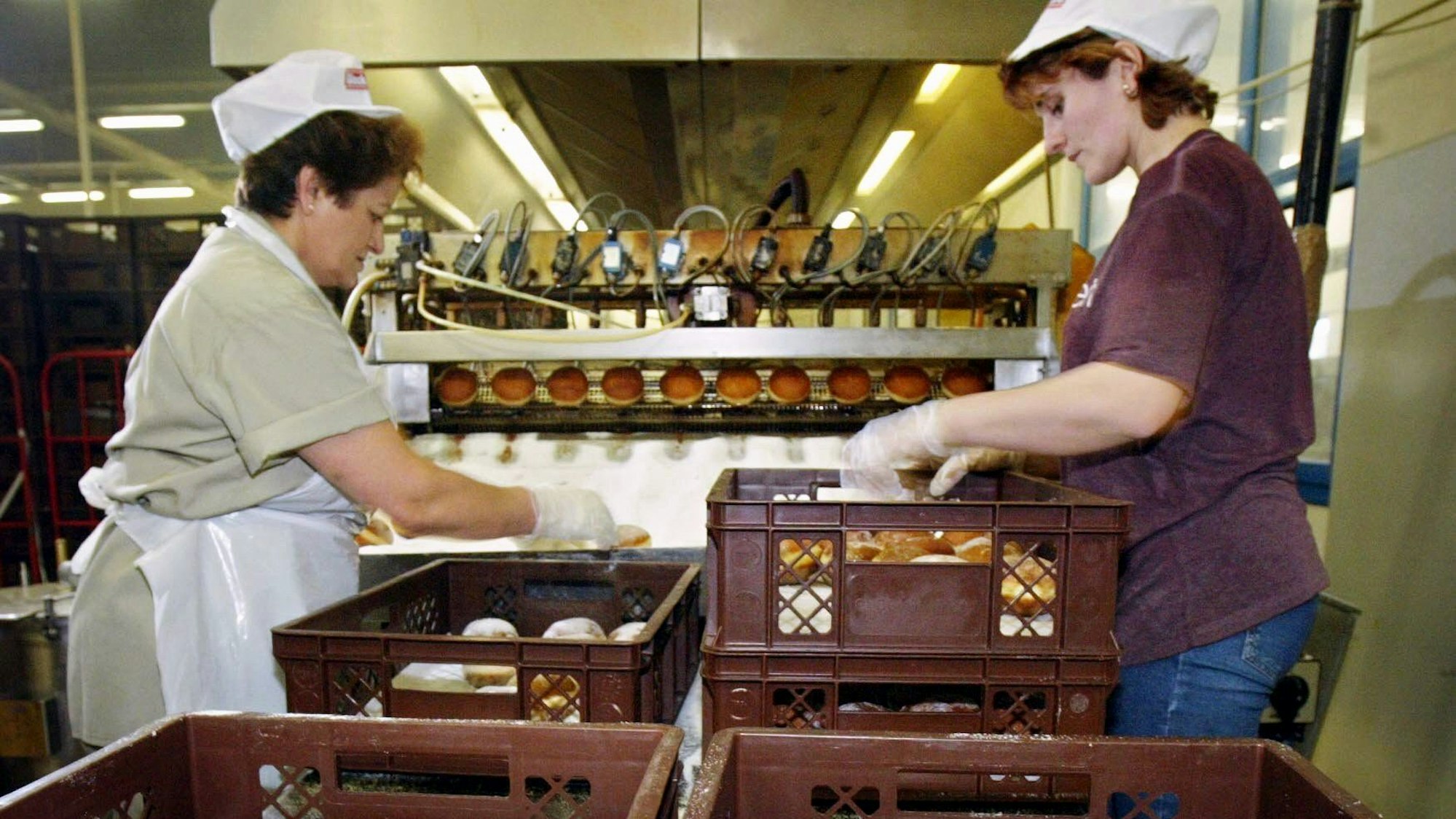 Zwei Arbeiterinnen packen in der Glockenbrot-Bäckerei in Frankfurt frisch gebackene Berliner in Kisten.