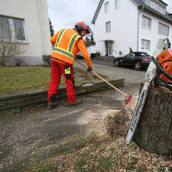 Für die Sanierung der Aggerstraße in Siegburg-Brückberg werden 45 Straßenbäume gefällt