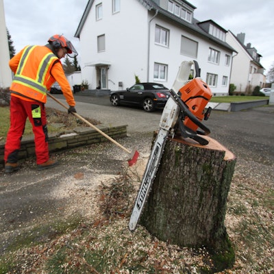 Für die Sanierung der Aggerstraße in Siegburg-Brückberg werden 45 Straßenbäume gefällt