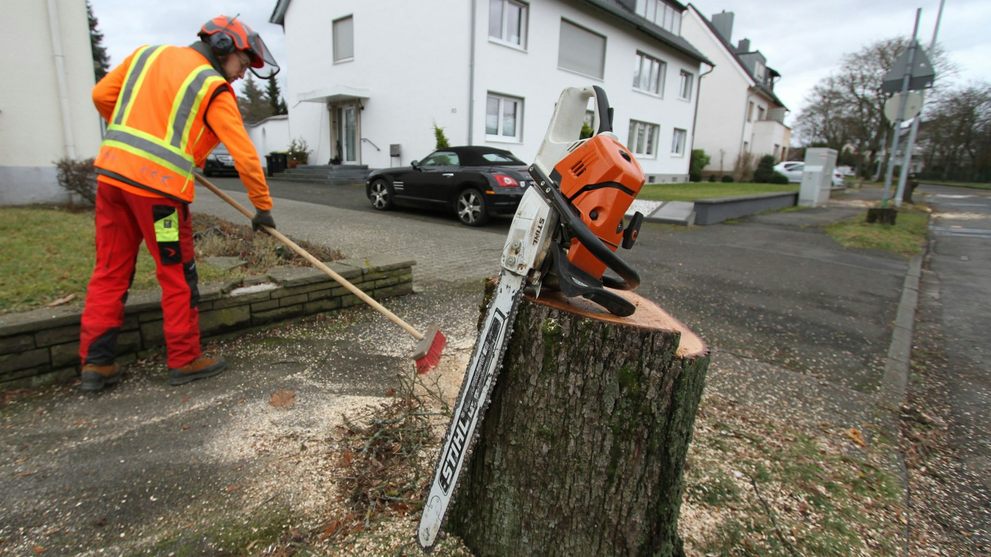 Für die Sanierung der Aggerstraße in Siegburg-Brückberg werden 45 Straßenbäume gefällt