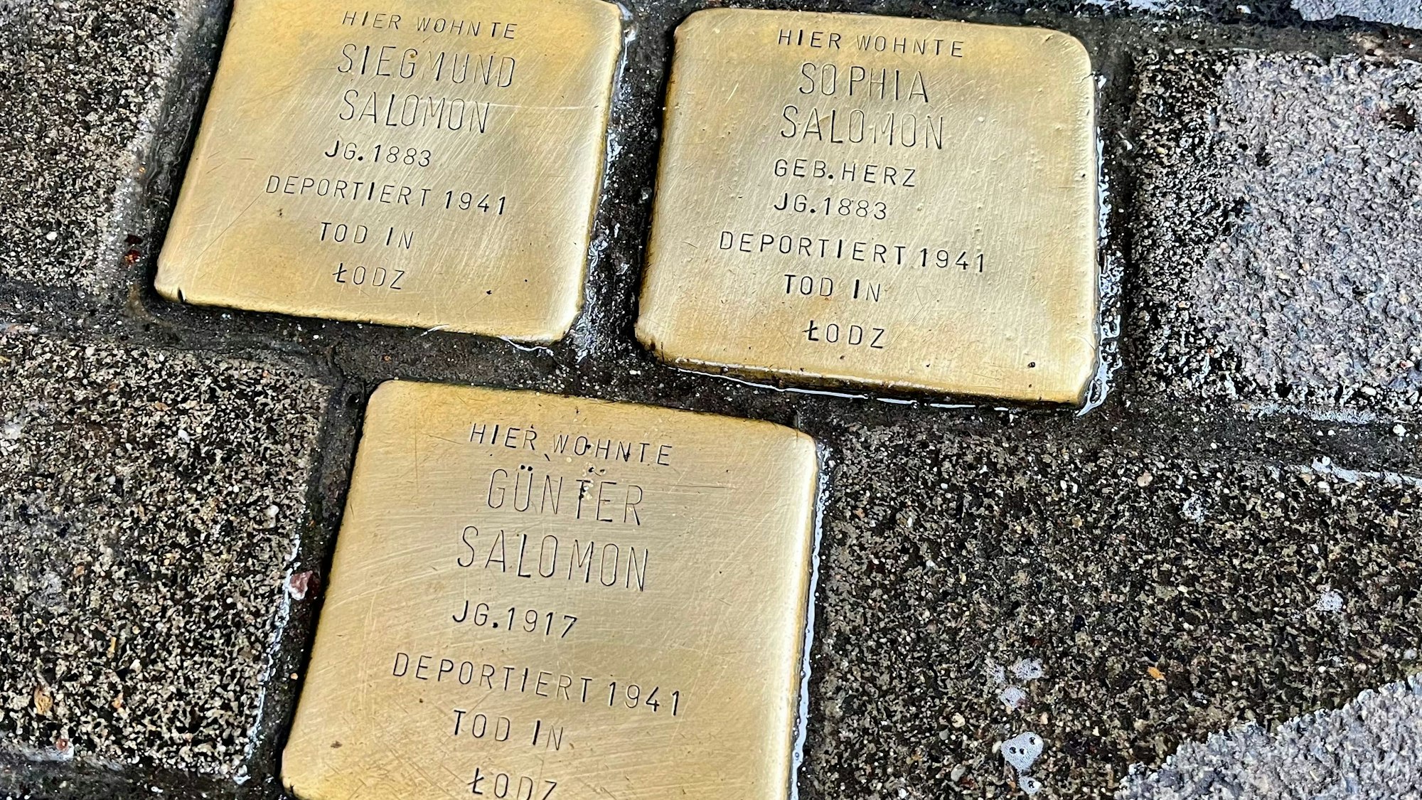 Frisch gesäuberte Stolpersteine