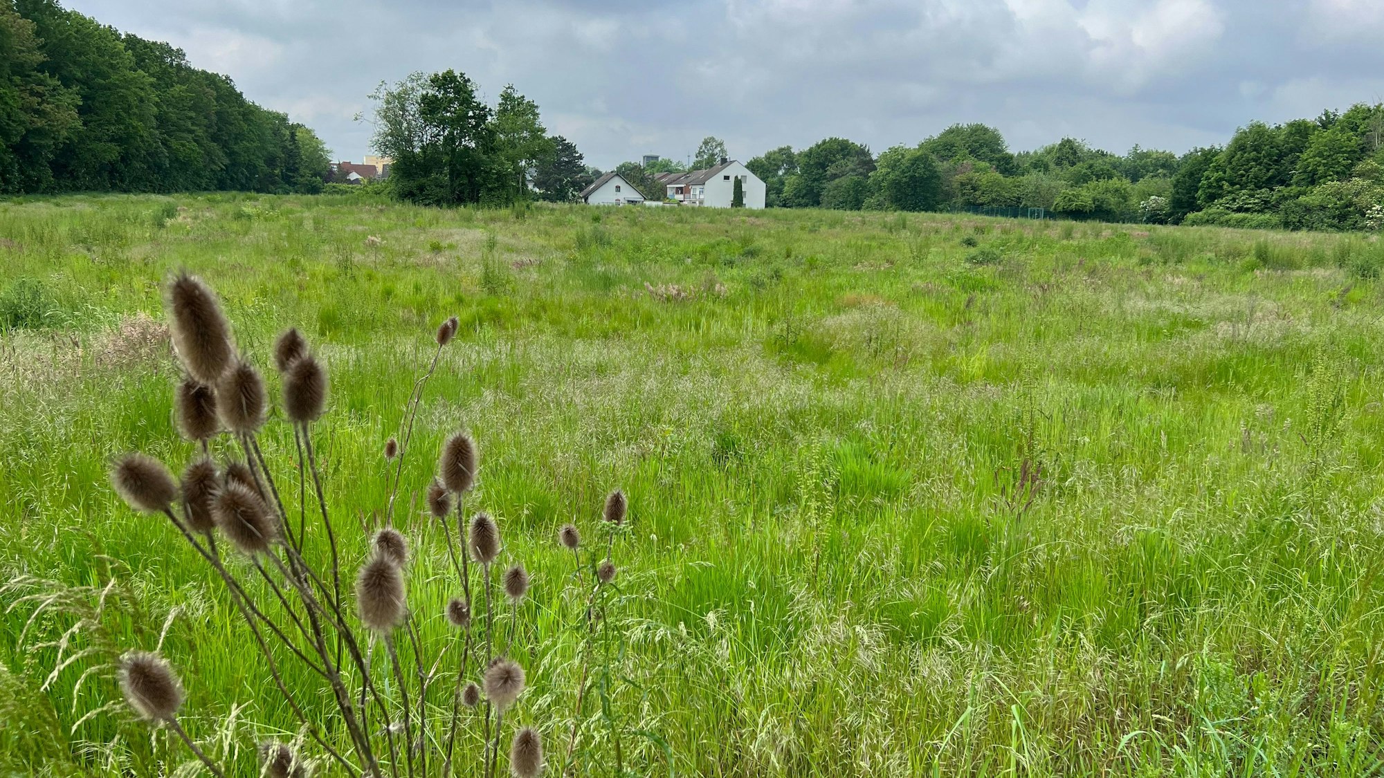 Rund 220 Wohneinheiten aus Einzel-, Reihen- und Doppelhäusern sowie Geschosswohnungsbau sollen im Baugebiet „Leidenhausener Straße“ entstehen.