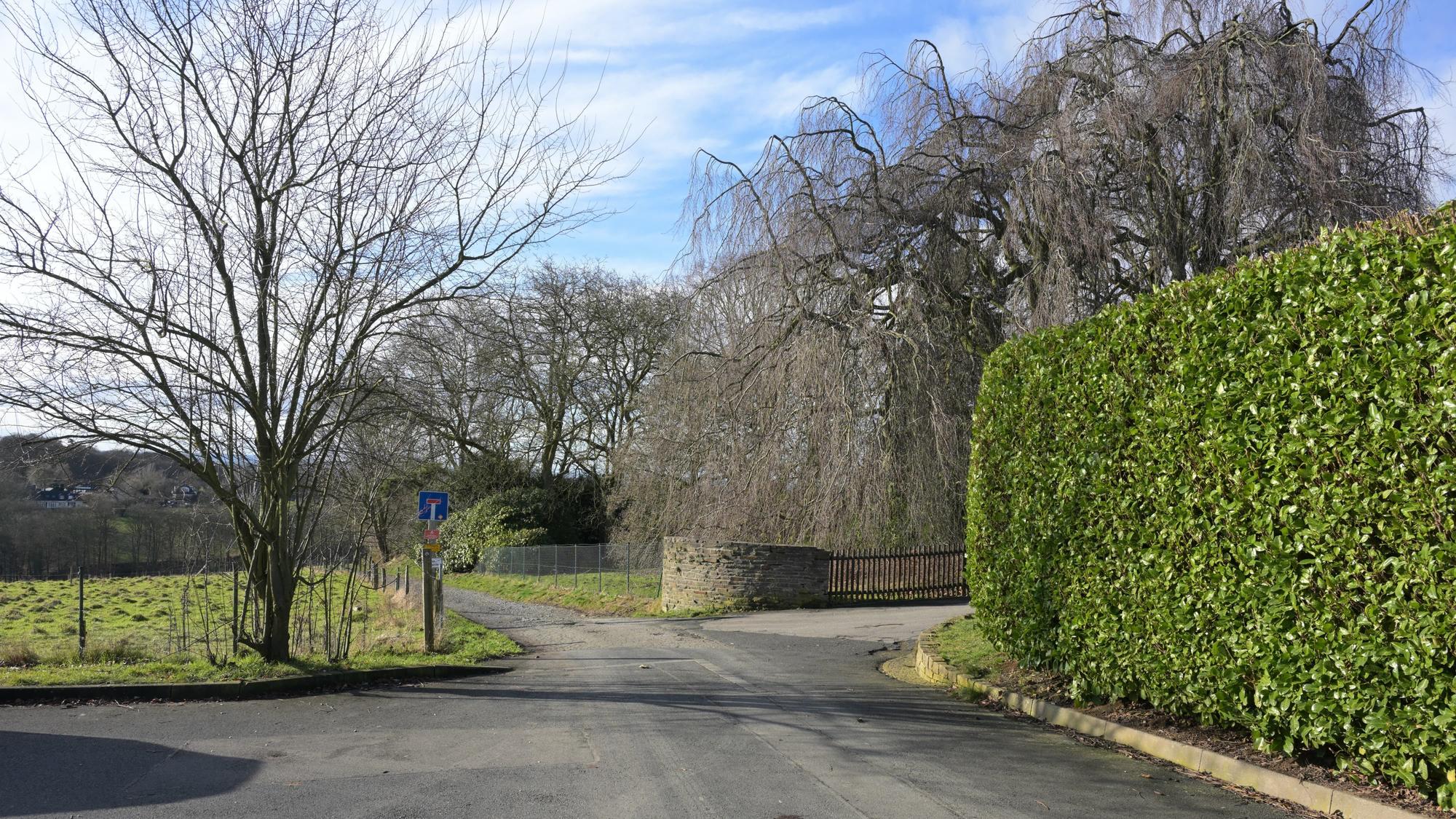 Eine Straße endet als Feldweg. Rechts eine hohe, grüne Laubhecke, dahinter eine Grundstückseinfahrt.