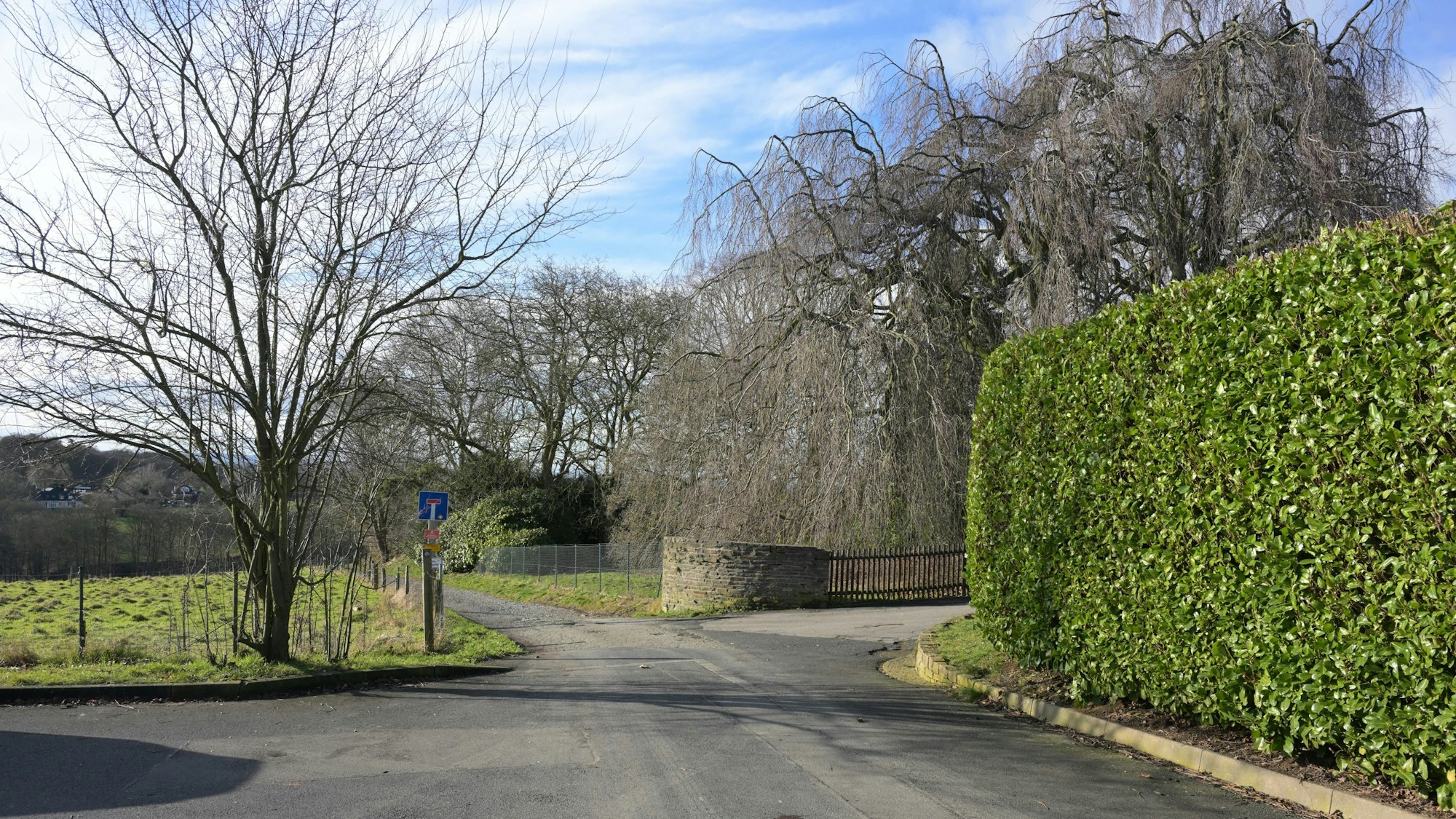 Eine Straße endet als Feldweg. Rechts eine hohe, grüne Laubhecke, dahinter eine Grundstückseinfahrt.