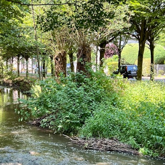 Die Wiembachallee in Opladen