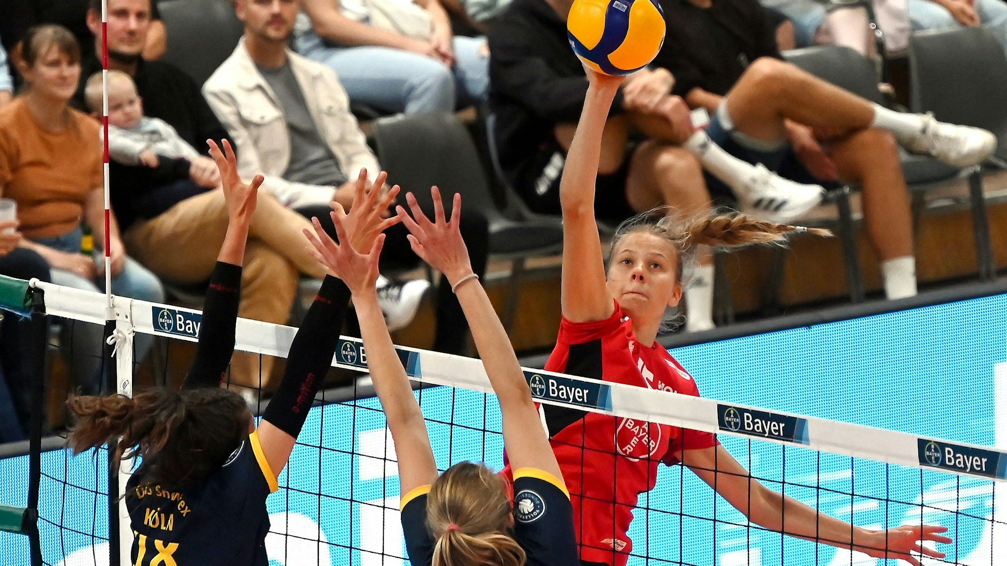 21.09.2024, Volleyball-Bayer Volleys - DSHS Köln
hinten: Betty Lange (Bayer)
Foto: Uli Herhaus