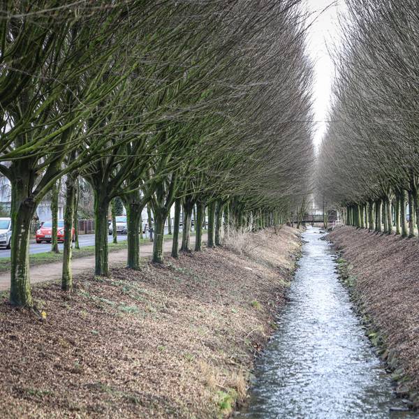 Wiembachallee in Opladen