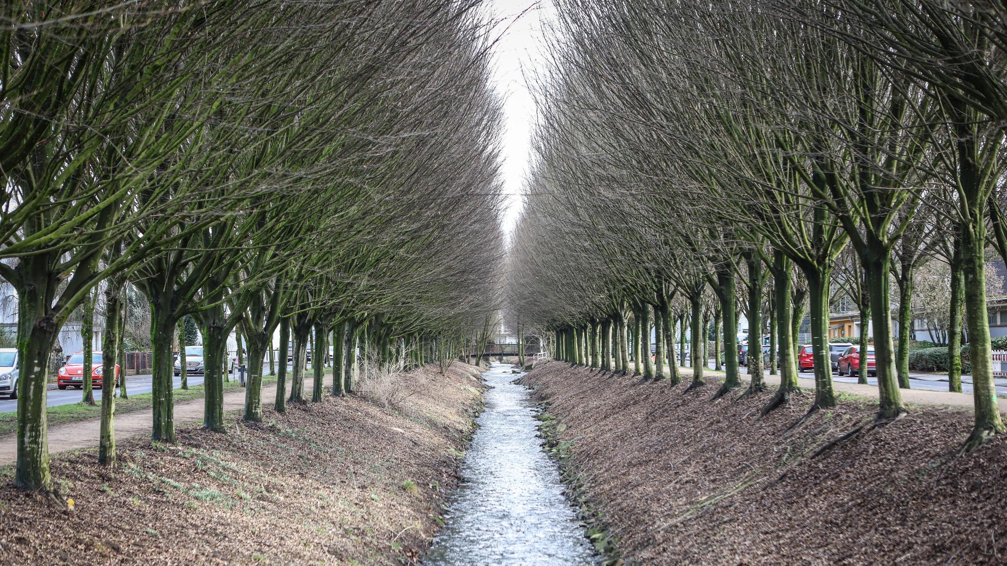 Wiembachallee in Opladen