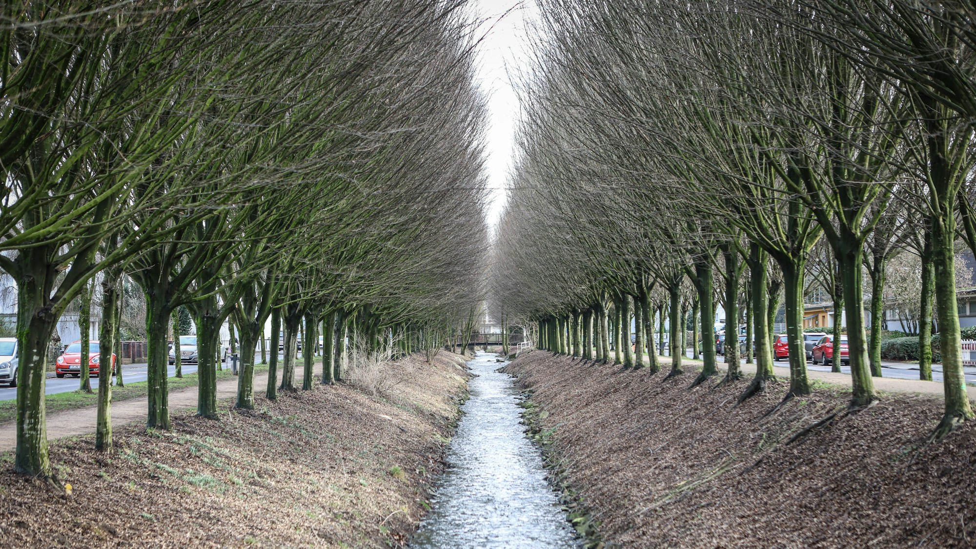 Wiembachallee in Opladen