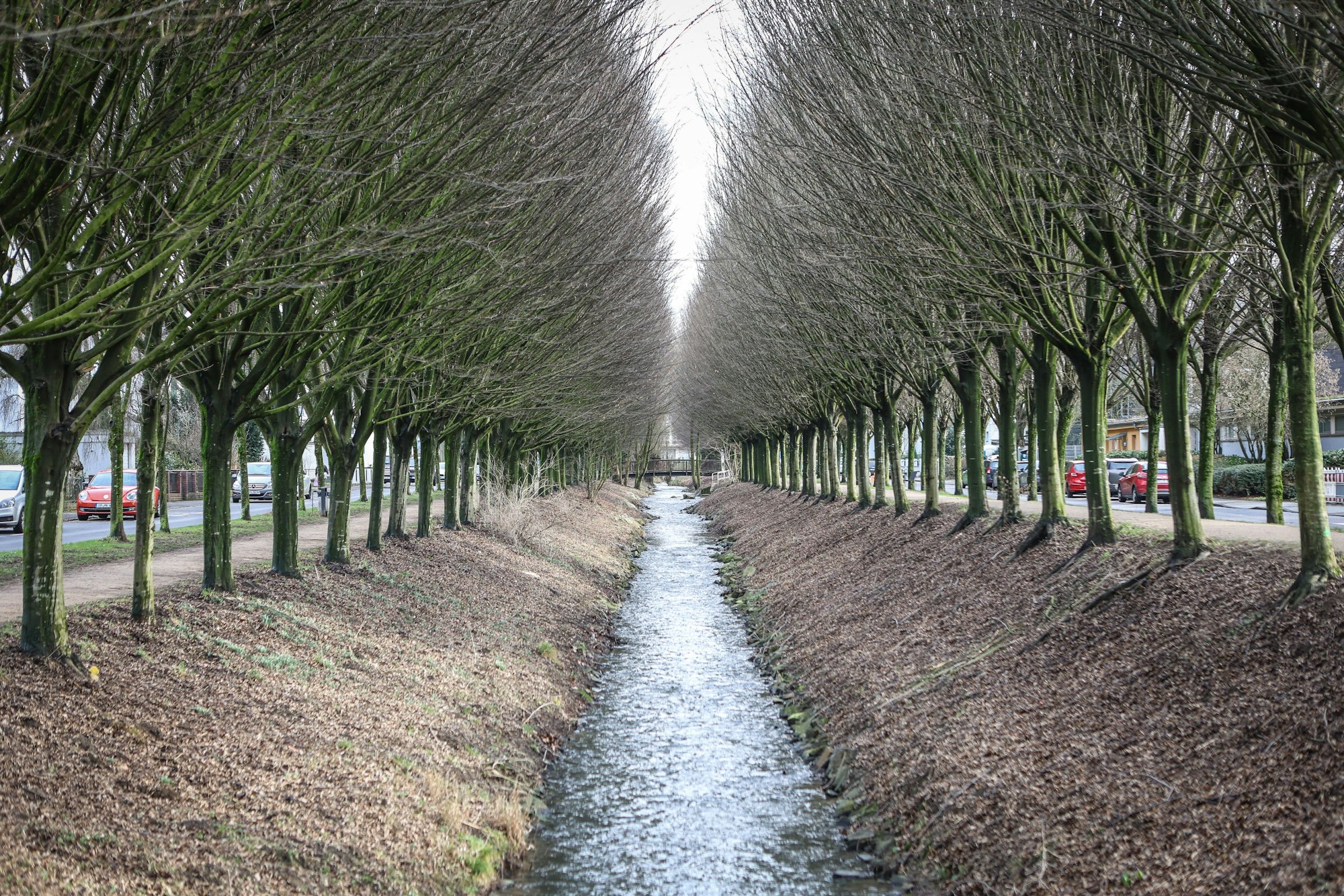Die Wiembachallee in Opladen.