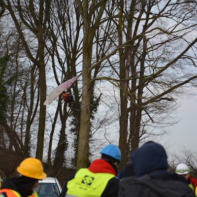 Zu sehen ist ein Aktivist, der Rodungen verhindern will, auf einem Baum.