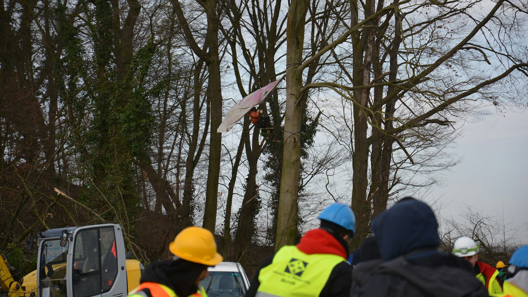 Zu sehen ist ein Aktivist, der Rodungen verhindern will, auf einem Baum.