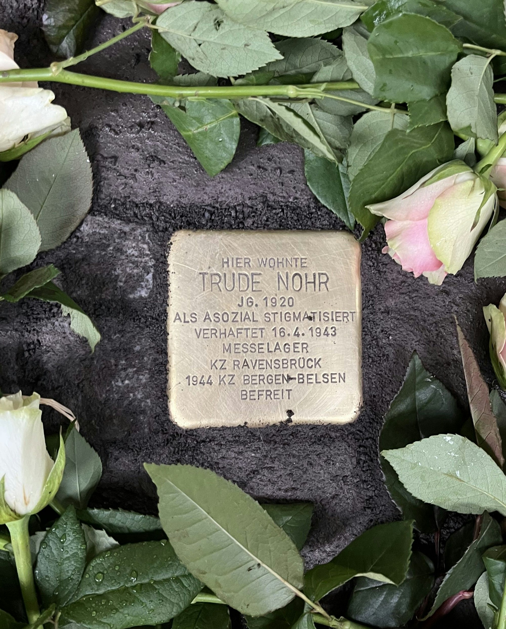 Ein Stolperstein für Trude Nohr wurde in der Martinstraße verlegt.