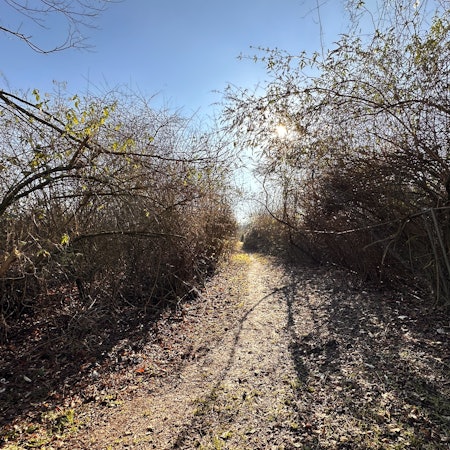 Der Fuß- und Radweg zwischen Immendorf und Meschenich soll nach den Wünschen der Anwohner erhalten bleiben.