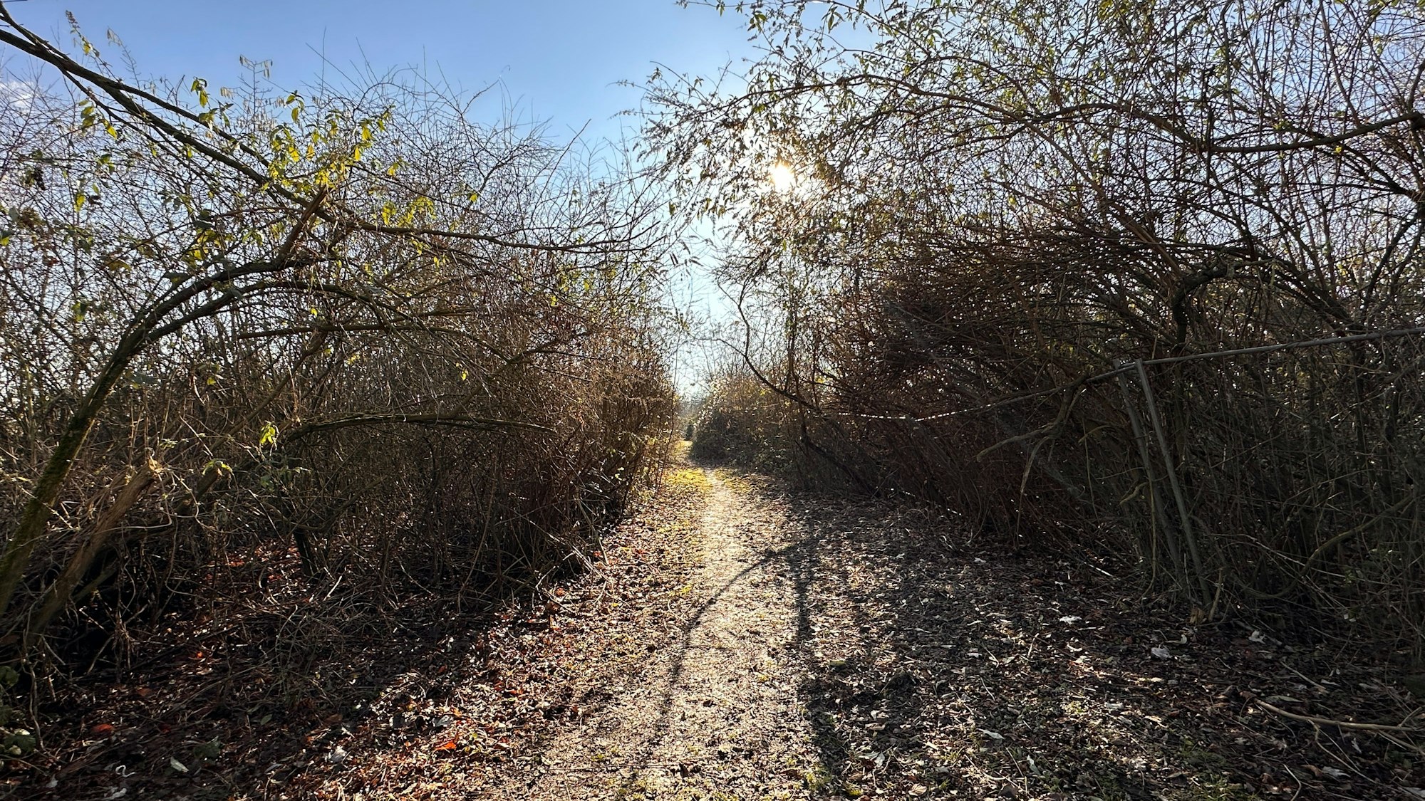 Der Fuß- und Radweg zwischen Immendorf und Meschenich soll nach den Wünschen der Anwohner erhalten bleiben.