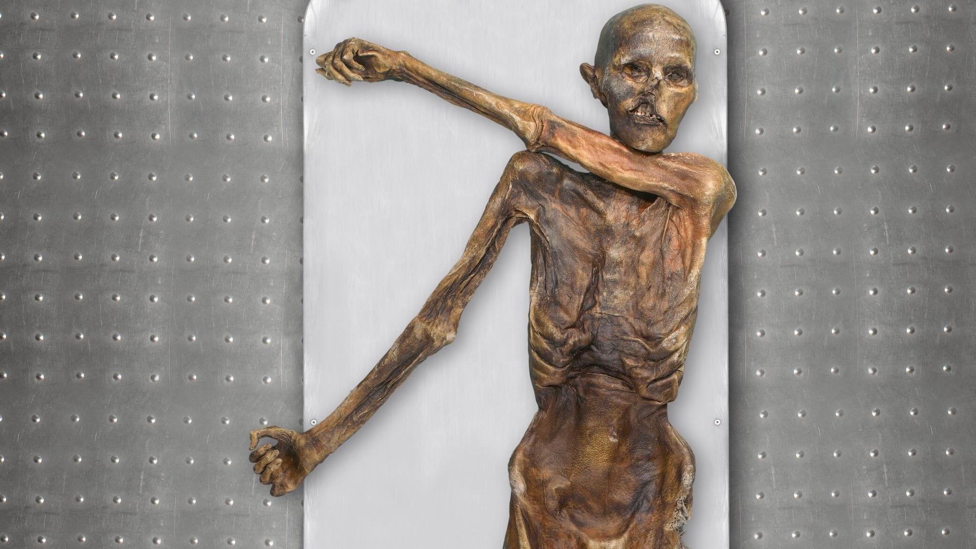 Ötzi, auch bekannt als der „Mann aus dem Eis“, stammt aus der späten Jungsteinzeit oder Kupfersteinzeit. Mithilfe der Radiokohlenstoffdatierung konnte sein Todeszeitpunkt auf etwa 3258 v. Chr. datiert werden.