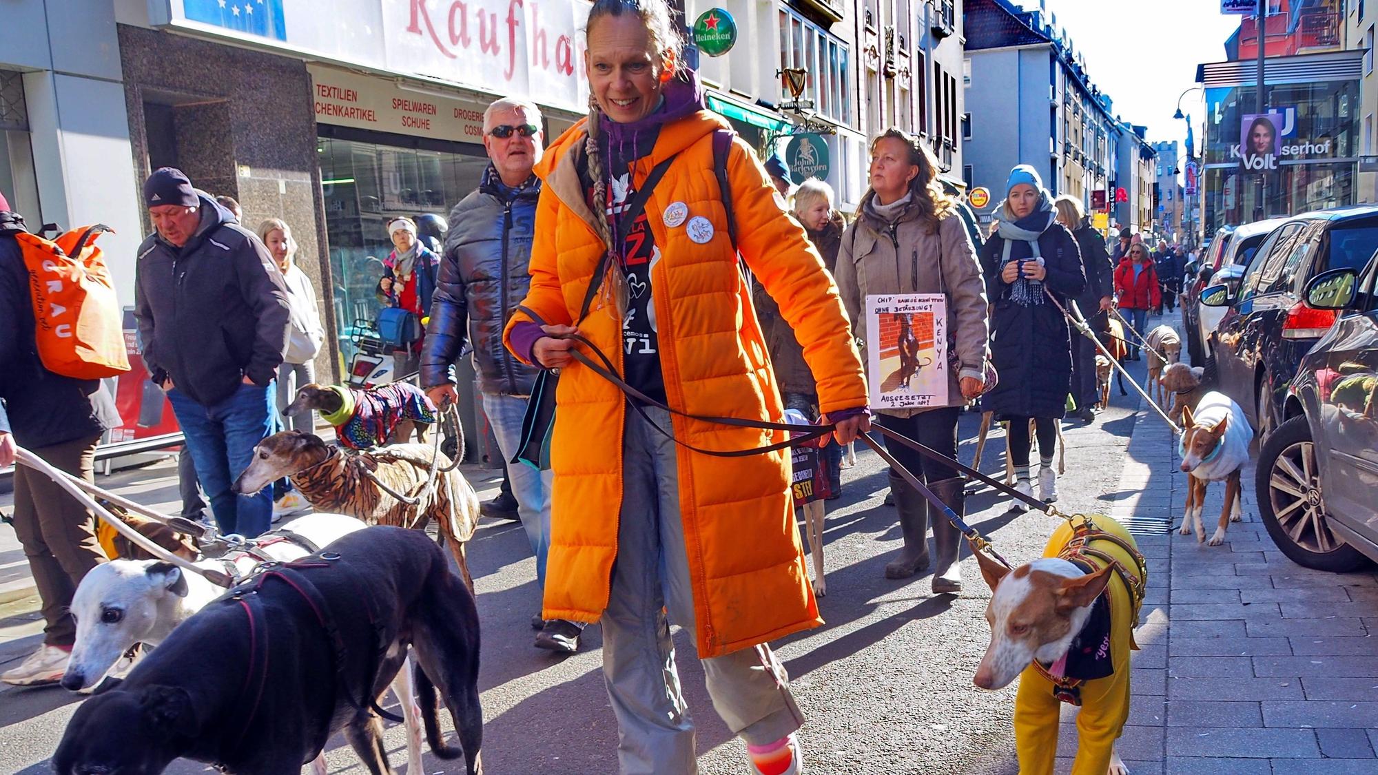 Männer und Frauen mit zartgliedrigen Jagdhunden laufen bei strahlendem Sonnenschein über die Severinstraße.
