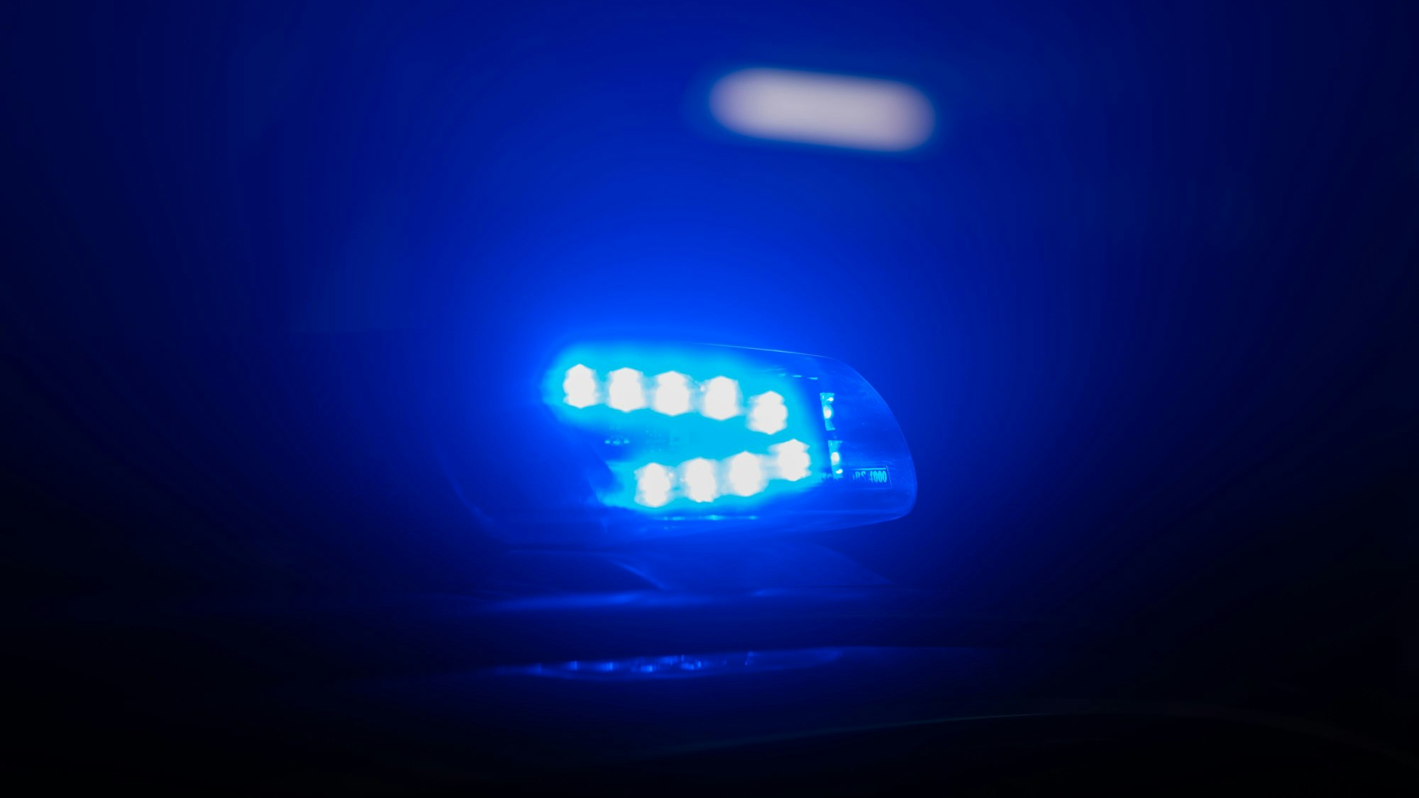 Blaulicht leuchtet auf dem Dach eines Polizeiautos.