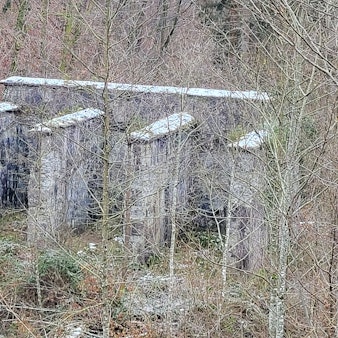 Von Weitem sind die ungewöhnlichen Ruinen in Windeck nur zu erahnen, so sehr sind sie von Bäumen und Büschen zugewachsen.