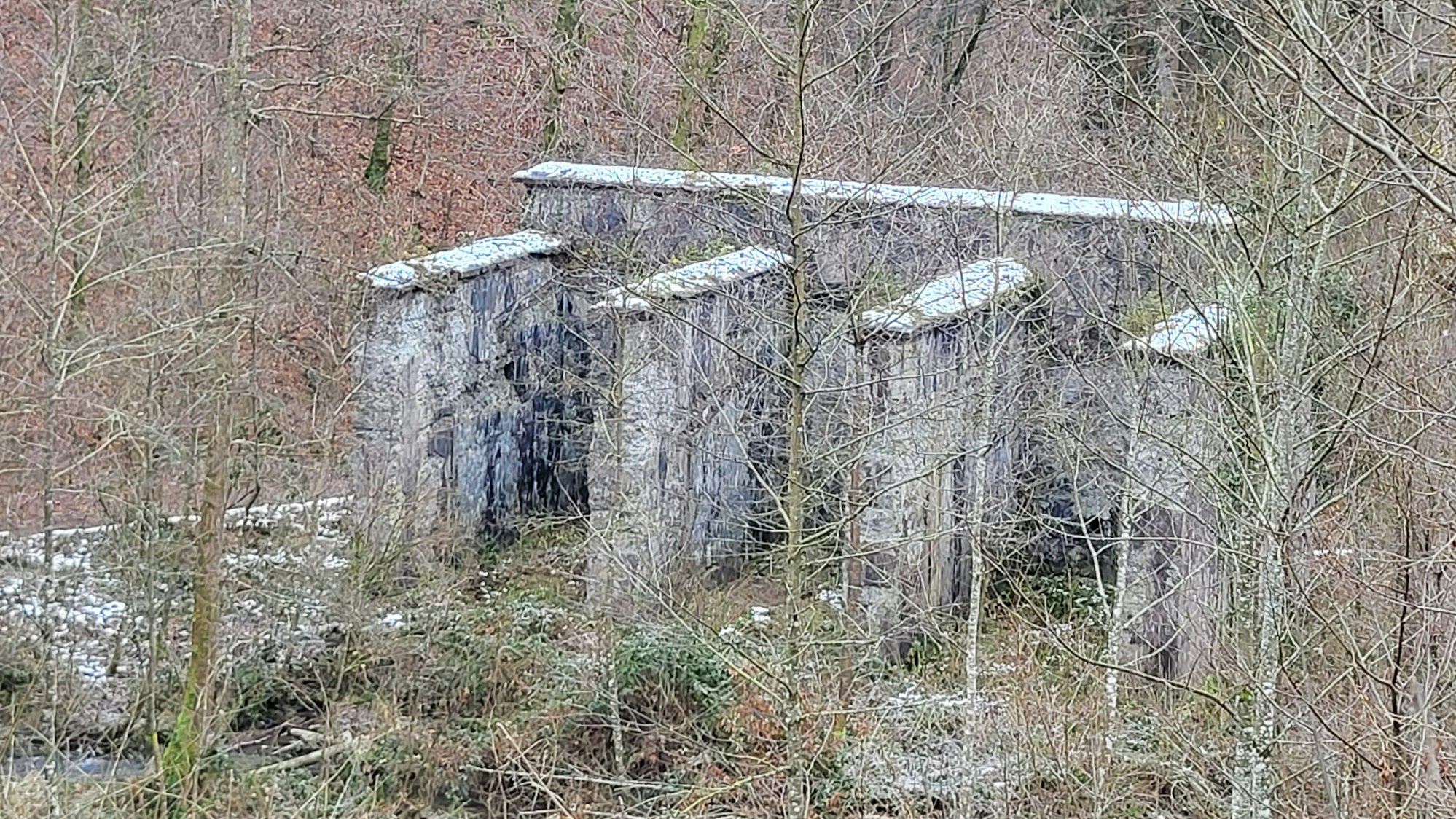 Von Weitem sind die ungewöhnlichen Ruinen in Windeck nur zu erahnen, so sehr sind sie von Bäumen und Büschen zugewachsen.