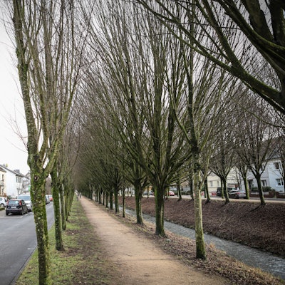 Die Wiembachallee in Opladen