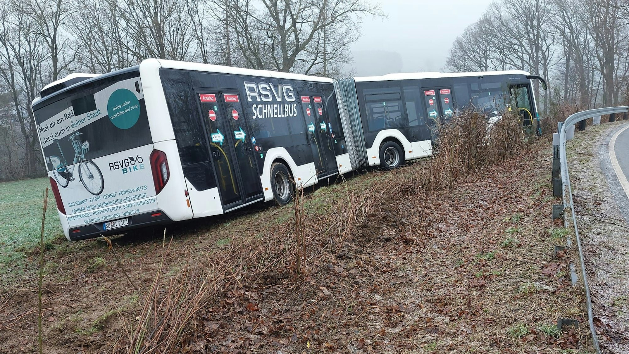 Ein Bus steht neben der Fahrbahn in einer Wiese.