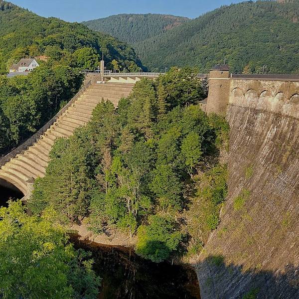 Die Staumauer des Urftsees ist von Bäumen umgeben.