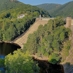 Die Staumauer des Urftsees ist von Bäumen umgeben.