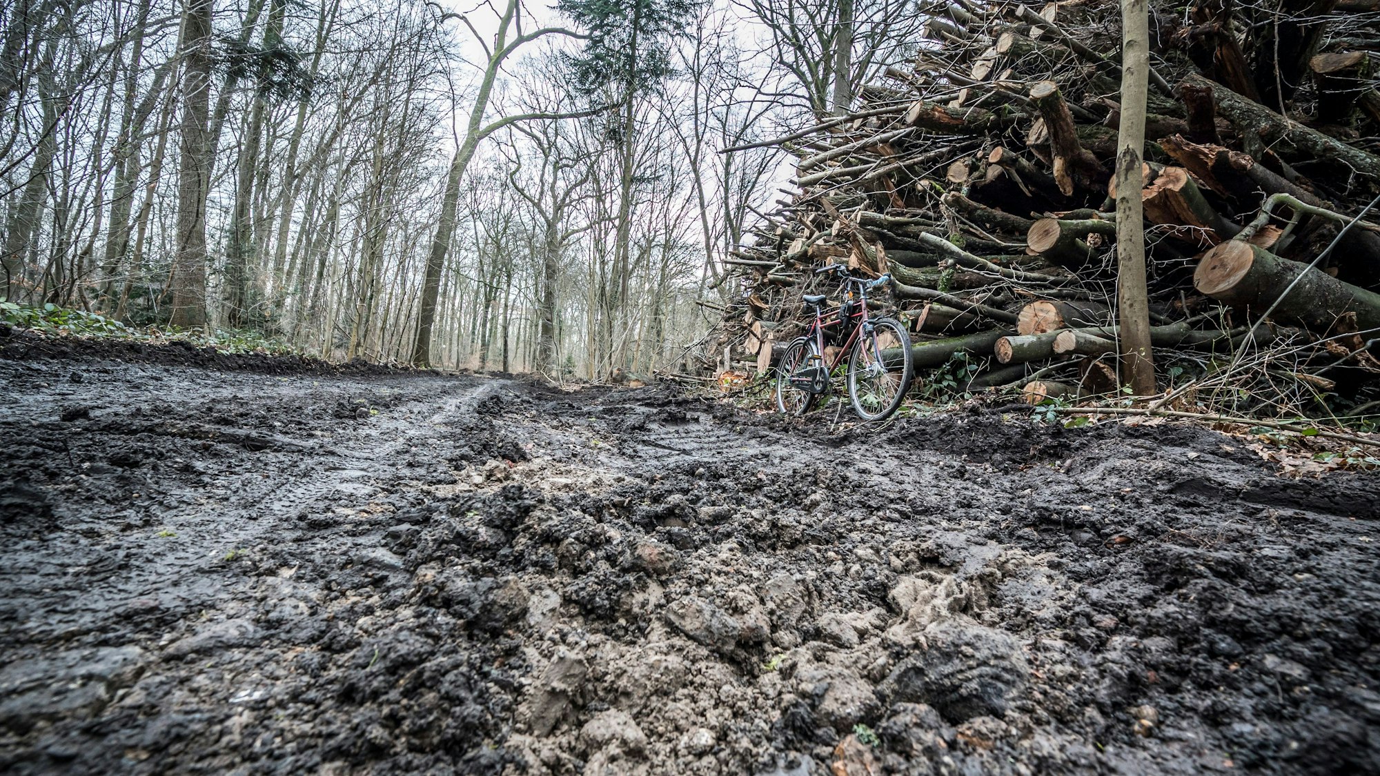 Der zerwühlte Weg direkt an der Gezelinkapelle. Foto: Ralf Krieger