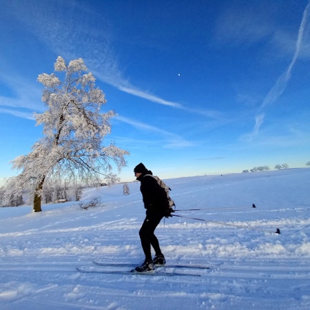 Ein Skilangläufer im Schnee.