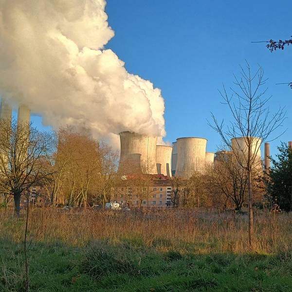 Das Bild zeigt das Kraftwerk von Niederaußem am Horizont, verdeckt durch einige Bäume.