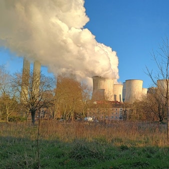 Das Bild zeigt das Kraftwerk von Niederaußem am Horizont, verdeckt durch einige Bäume.
