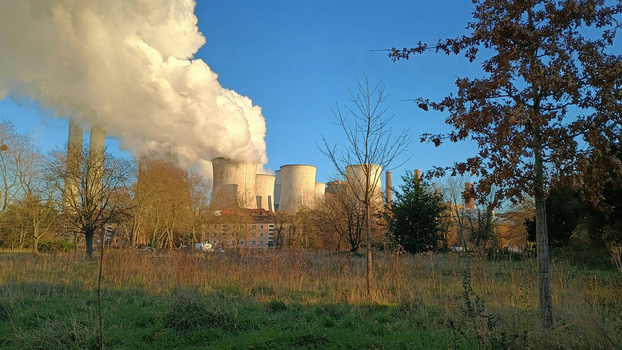 Das Bild zeigt das Kraftwerk von Niederaußem am Horizont, verdeckt durch einige Bäume.