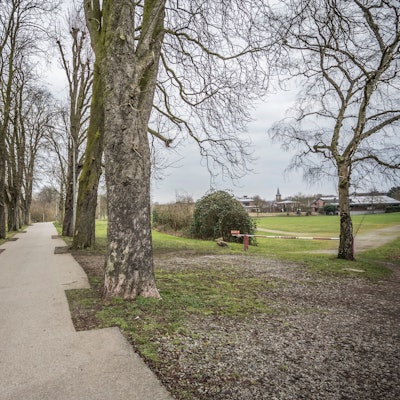 Das von Nolden gepachtete Grundstück umfasst die große Wiese (rechts) und die Kastanienallee.