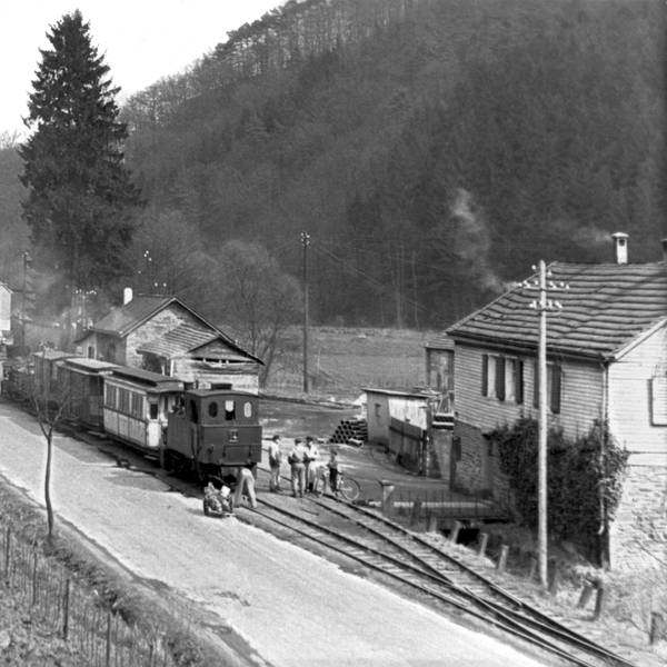 Ein Foto von 1954: Eine Schmalspureisenbahn auf einer einsamen Straße, zwei alte Omnibusse mit Anhänger befahren die Straße.