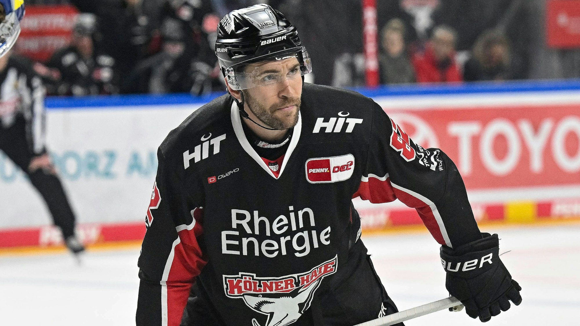 Eishockey DEL - 24/25 - 41. Spieltag: Kölner Haie vs EHC Red Bull München am 28.01.2025 in der LANXESS arena in Köln Kölns Alexandre Grenier Nr.82 *** Ice Hockey DEL 24 25 41 Matchday Cologne Sharks vs EHC Red Bull Munich on 28 01 2025 at the LANXESS arena in Cologne Colognes Alexandre Grenier No 82 WD