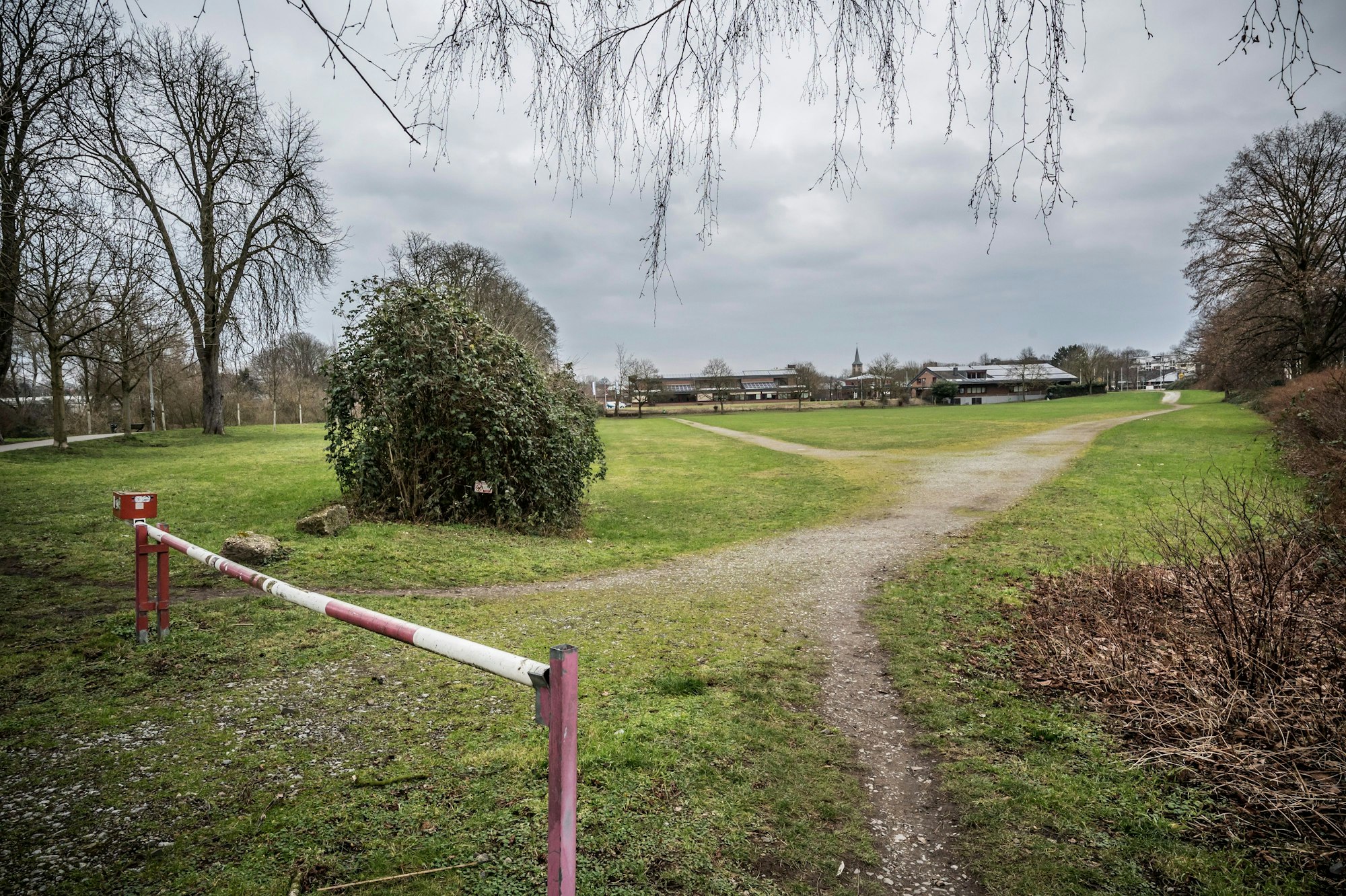 Bierbörse: Das von Nolden gepachtete Grundstück umfasst die große Wiese und die Lindenallee, vormals Kastanienallee. Foto: Ralf Krieger
