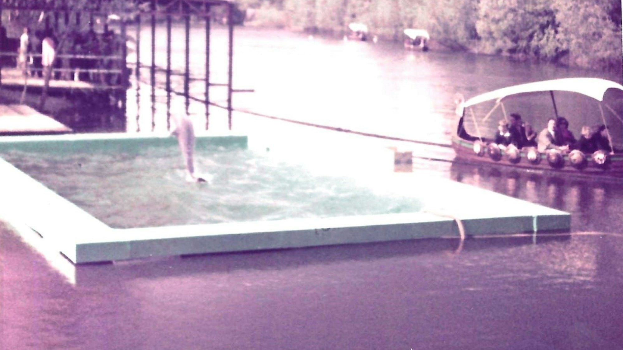 Als das Becken im Phantasialand einen Schaden hatte, mussten die Delphine umgesetzt werden.