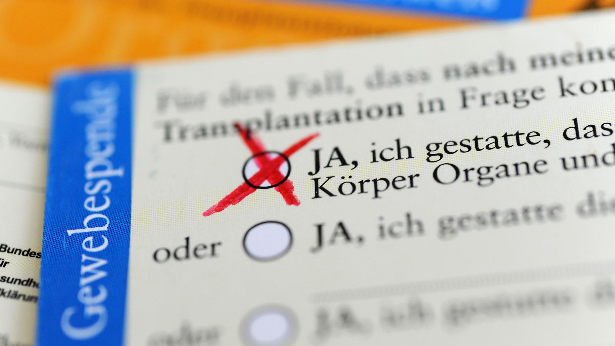Die Rückseite eines ausgefüllten Organspendeausweises. Das Zustimmungsfeld ist angekreuzt. (Symbolbild)
