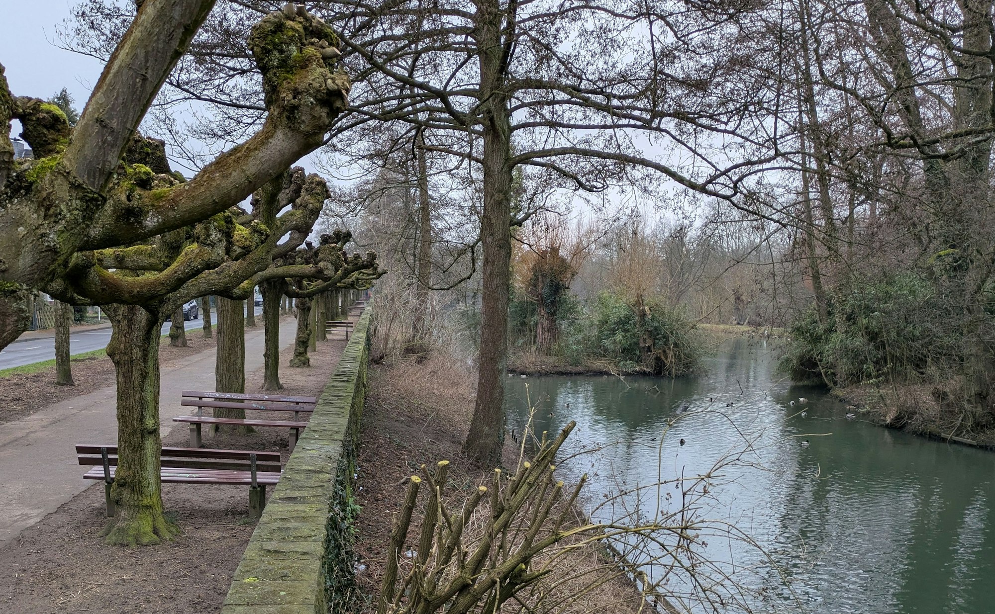 Eine baumbestandene Böschung mit einem Teich
